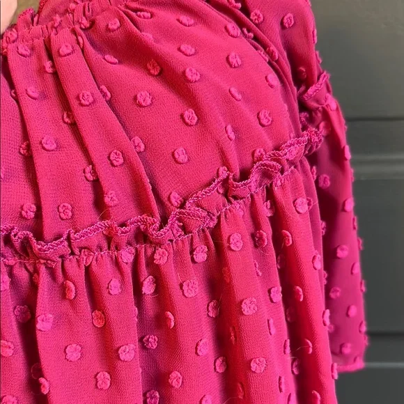 J Crew Raspberry Ruffle Swiss Dot Blouse - Picture 3 of 3